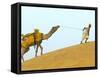 Man with Camel with Sam Sand Dunes, Thar Desert, Jaisalmer, Rajasthan, India-Keren Su-Framed Stretched Canvas