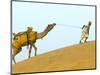 Man with Camel with Sam Sand Dunes, Thar Desert, Jaisalmer, Rajasthan, India-Keren Su-Mounted Photographic Print