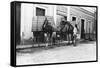 Man with Camels, Las Palmas, Gran Canaria, Canary Islands, Spain, C1920s-C1930s-null-Framed Stretched Canvas