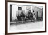 Man with Camels, Las Palmas, Gran Canaria, Canary Islands, Spain, C1920s-C1930s-null-Framed Giclee Print