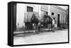 Man with Camels, Las Palmas, Gran Canaria, Canary Islands, Spain, C1920s-C1930s-null-Framed Stretched Canvas