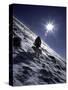 Man with Dog Climbing Arapahoe Peak in Strong Wind and Snow, Colorado-Michael Brown-Stretched Canvas