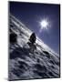 Man with Dog Climbing Arapahoe Peak in Strong Wind and Snow, Colorado-Michael Brown-Mounted Photographic Print