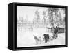 Man with Dogsled-null-Framed Stretched Canvas