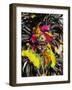 Man with Facial Decoration and Head-Dress with Feathers at Mardi Gras Carnival, Philippines-Alain Evrard-Framed Photographic Print