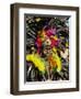 Man with Facial Decoration and Head-Dress with Feathers at Mardi Gras Carnival, Philippines-Alain Evrard-Framed Photographic Print