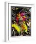 Man with Facial Decoration and Head-Dress with Feathers at Mardi Gras Carnival, Philippines-Alain Evrard-Framed Photographic Print