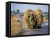 Man with Freshly Harvested Rice on Cart in the Ricefields of Bac Thai Province-Robert Francis-Framed Stretched Canvas