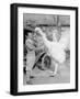 Black Frame