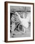 Brown Frame