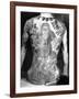 Man with Traditional Japanese Irezumi Tattoo, c.1910-Japanese Photographer-Framed Photographic Print