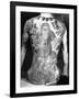 Man with Traditional Japanese Irezumi Tattoo, c.1910-Japanese Photographer-Framed Photographic Print