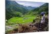 Man Working in the Batad Rice Terraces, Part of the UNESCO World Heritage Site of Banaue, Luzon-Michael Runkel-Mounted Photographic Print