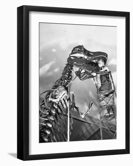 Man Working on Skeleton of a Tyrannosaurus at the American Museum of Natural History-Hansel Mieth-Framed Photographic Print