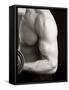 Man Working Out with Hand Wieghts, New York, New York, USA-Chris Trotman-Framed Stretched Canvas