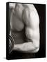 Man Working Out with Hand Wieghts, New York, New York, USA-Chris Trotman-Framed Stretched Canvas