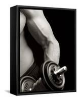 Man Working Out with Hand Wieghts, New York, New York, USA-Chris Trotman-Framed Stretched Canvas