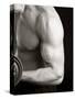 Man Working Out with Hand Wieghts, New York, New York, USA-Chris Trotman-Stretched Canvas