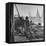 Man Working with Irrigation System as Sailboats Sit at Edge of Nile River at Wadi Halfa-null-Framed Stretched Canvas