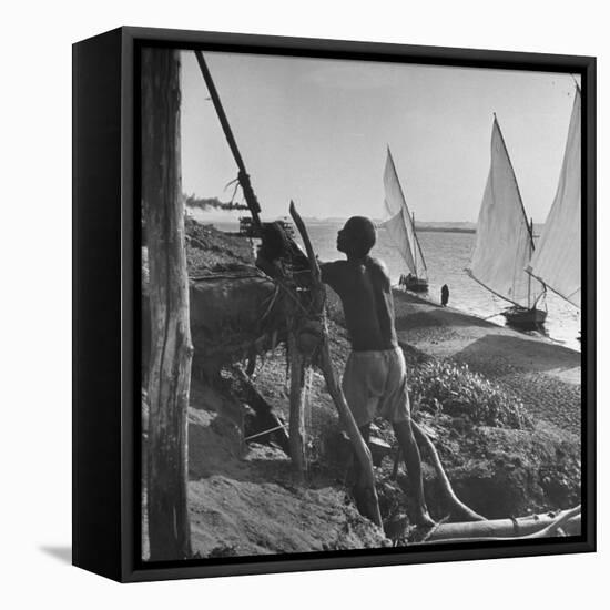 Man Working with Irrigation System as Sailboats Sit at Edge of Nile River at Wadi Halfa-null-Framed Stretched Canvas