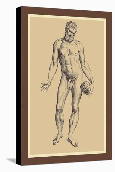 Man-Andreas Vesalius-Stretched Canvas