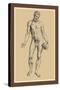 Man-Andreas Vesalius-Stretched Canvas