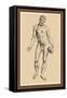 Man-Andreas Vesalius-Framed Stretched Canvas