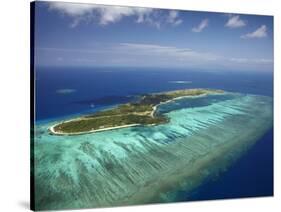 Mana Island and Coral Reef, Mamanuca Islands, Fiji-David Wall-Stretched Canvas