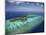 Mana Island and Coral Reef, Mamanuca Islands, Fiji-David Wall-Mounted Photographic Print