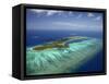 Mana Island and Coral Reef, Mamanuca Islands, Fiji-David Wall-Framed Stretched Canvas