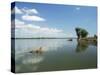 Mana Pools National Park, Unesco World Heritage Site, Zimbabwe, Africa-Sergio Pitamitz-Stretched Canvas