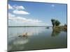 Mana Pools National Park, Unesco World Heritage Site, Zimbabwe, Africa-Sergio Pitamitz-Mounted Photographic Print