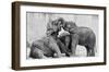 Manage A' Trois-Antje Wenner-Braun-Framed Giclee Print