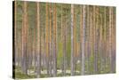 Stretched Canvas