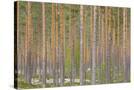 Stretched Canvas