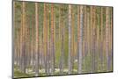 Wood Mount
