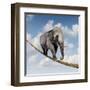 Managing Risk-digitalista-Framed Art Print