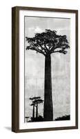 Manakara - Dusk-Tania Bello-Framed Giclee Print