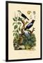 Manakins, 1833-39-null-Framed Giclee Print