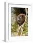 Mananara-nord sportive lemur peering out between branches-Nick Garbutt-Framed Photographic Print