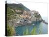 Manarola Cinque Terre III-Marilyn Dunlap-Stretched Canvas