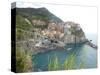 Manarola Cinque Terre III-Marilyn Dunlap-Stretched Canvas