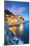 Manarola, Cinque Terre, Liguria, Italy-Jordan Banks-Mounted Photographic Print