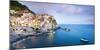 Manarola, Cinque Terre, Liguria, Italy-Jordan Banks-Mounted Photographic Print