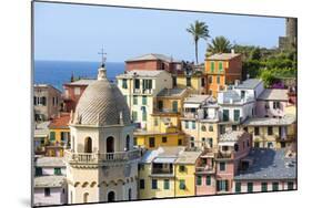 Manarola, Cinque Terre, Liguria, Italy-Jordan Banks-Mounted Photographic Print