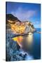 Manarola, Cinque Terre, Liguria, Italy-Jordan Banks-Stretched Canvas
