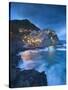 Manarola, Cinque Terre, Riviera Di Levante, Liguria, Italy-Jon Arnold-Stretched Canvas