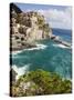 Manarola, Cinque Terre, UNESCO World Heritage Site, Liguria, Italy, Europe-Angelo Cavalli-Stretched Canvas