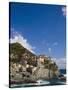 Manarola, Cinque Terre, UNESCO World Heritage Site, Liguria, Italy, Europe-Angelo Cavalli-Stretched Canvas