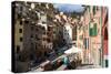 Manarola, Cinque Terre, UNESCO World Heritage Site, Liguria, Italy, Europe-Peter Groenendijk-Stretched Canvas